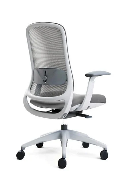 Advanta_Savi_WhiteGrey_BackAngled.jpg