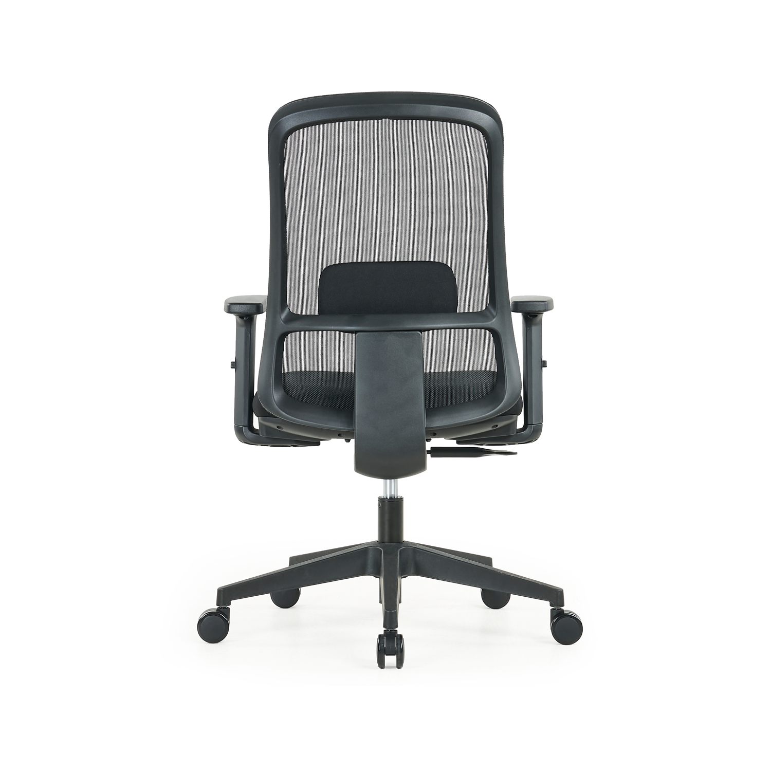 C6151-rear.png