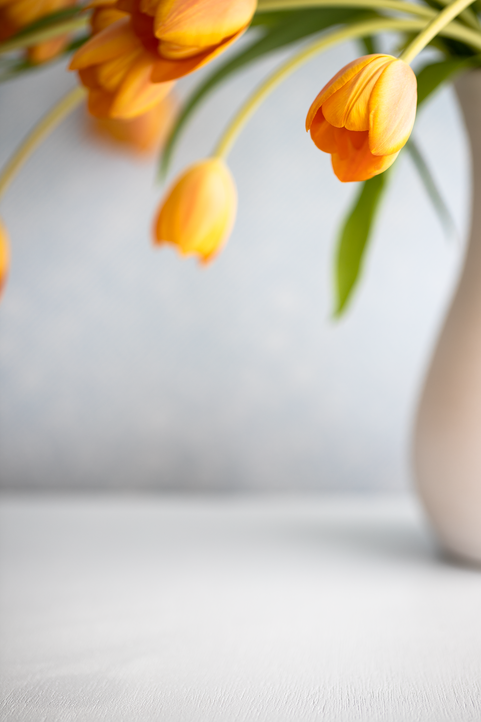 Close-up of yellow tulips with green leaves in a white vase on a white surface against a light gray background.