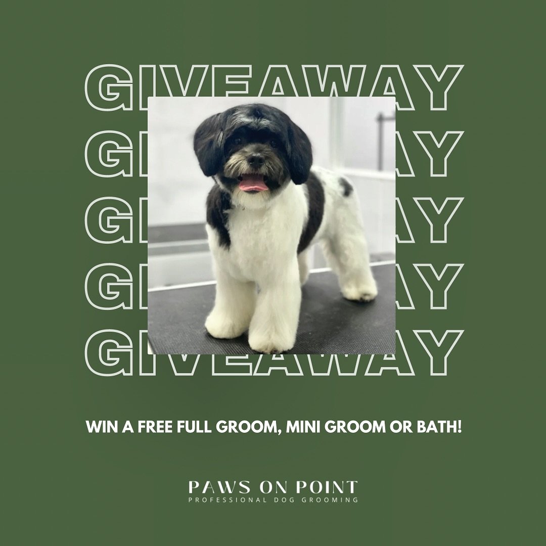 PAWS ON POINT IS TURNING 1 💚

To celebrate our upcoming birthday and to show our appreciation, we&rsquo;re excited to give back with a special giveaway! 

Be in the draw to win a FREE full groom, mini groom, or bath for your furry friend! 

TO ENTER