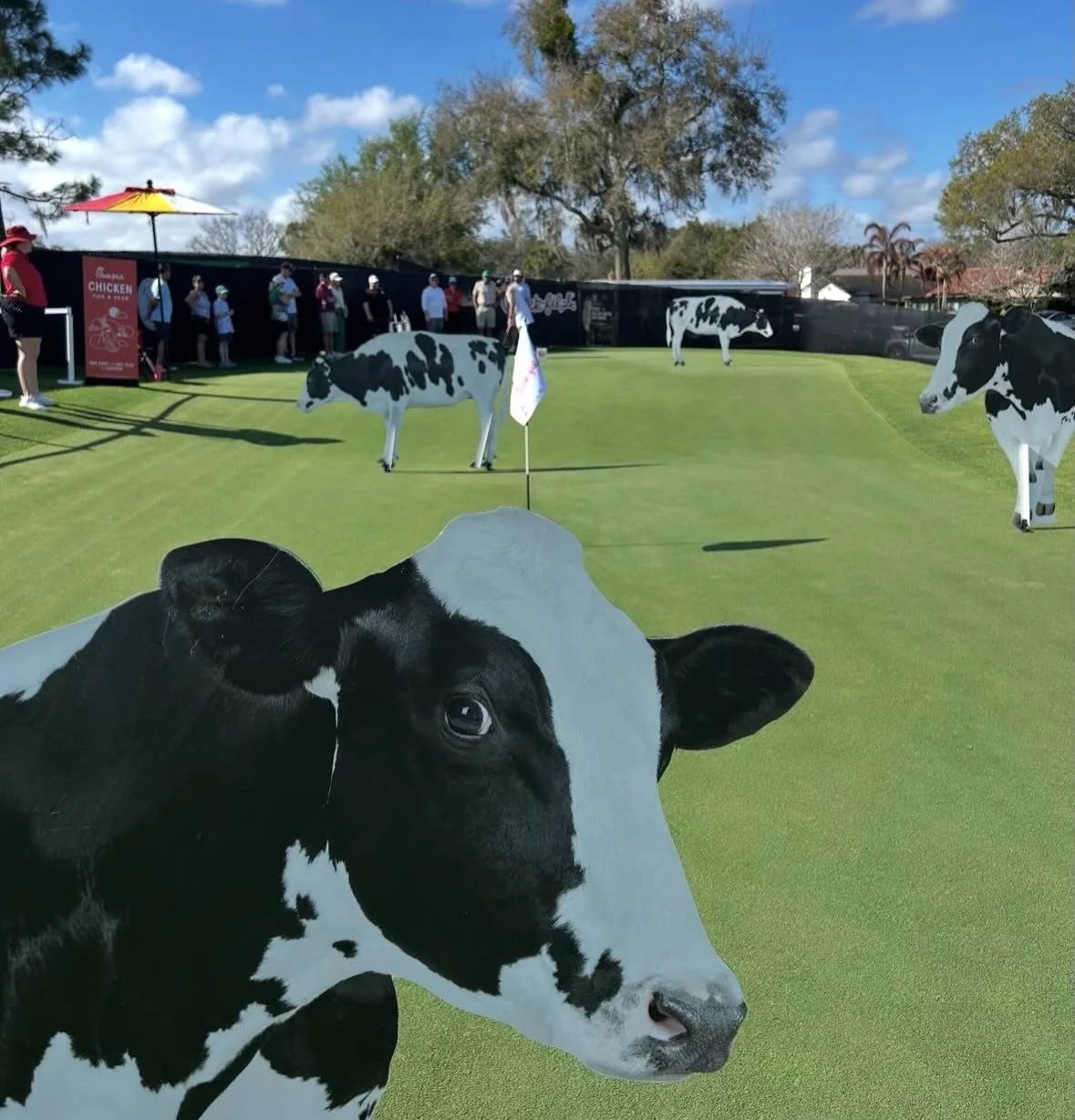 The Arnold Palmer Invitational has emerged as one of the PGA Tour&rsquo;s signature events, delivering a best-in-class fan experience and memorable partner activations.