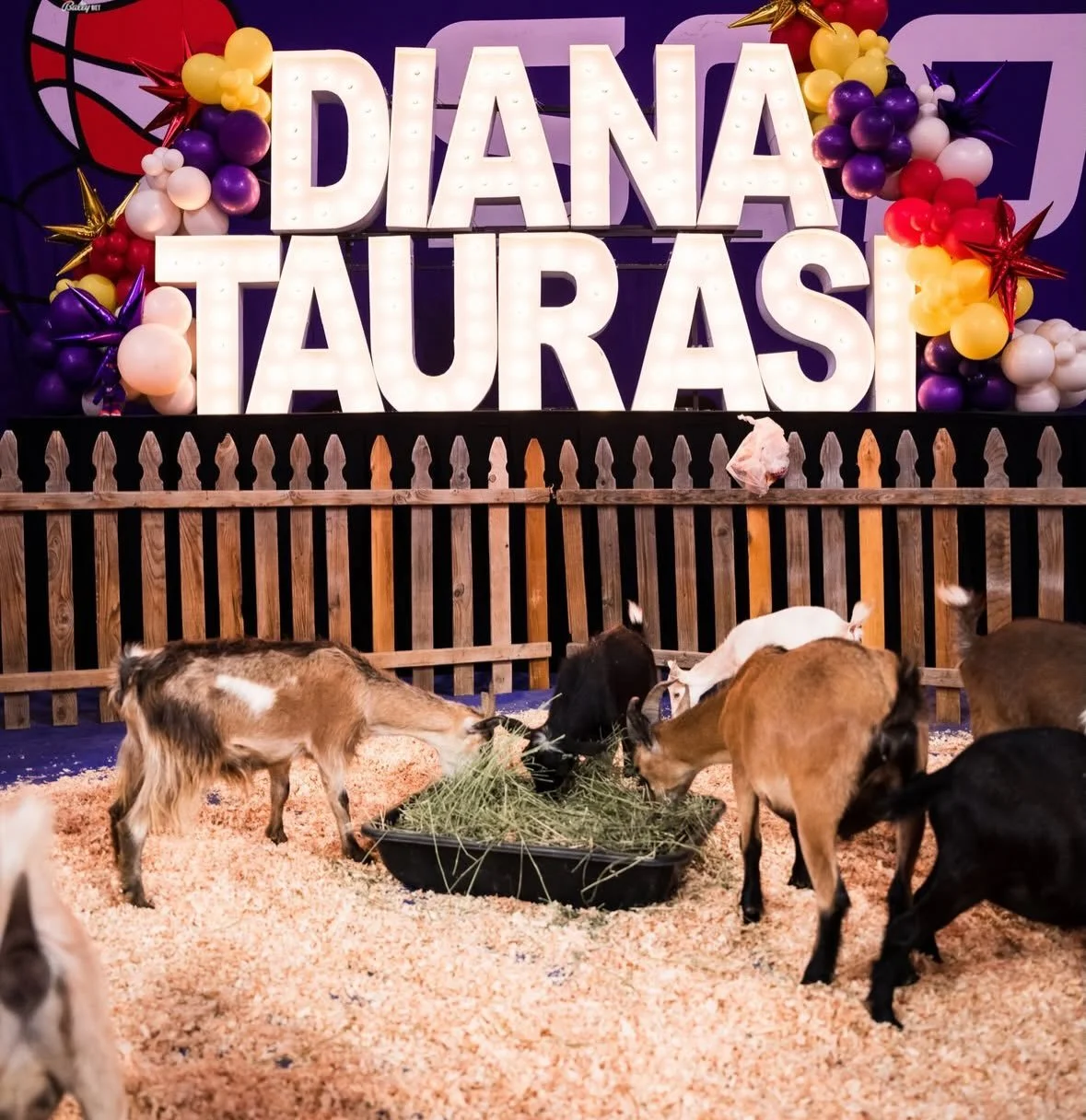The Phoenix Mercury pulled out all the stops to honor Diana Taurasi, celebrating one of the greatest players in franchise and WNBA history with an unforgettable Ring of Honor induction.