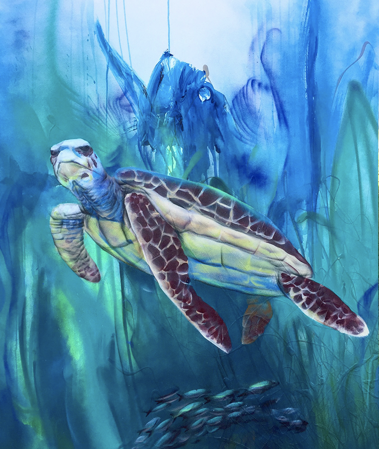 Jesse-Gouchey-Turtle.png