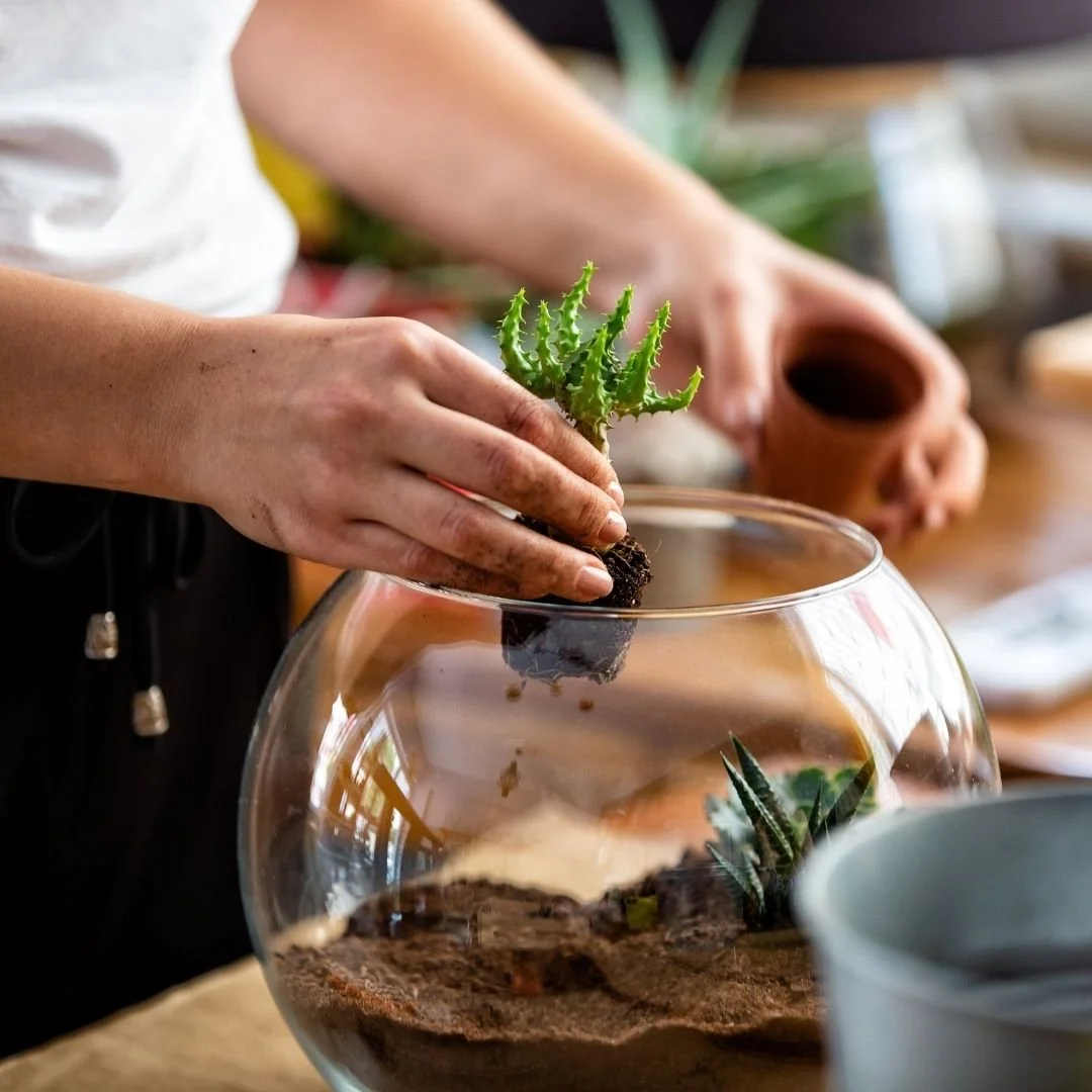 Mini Orchid Terrarium Workshop