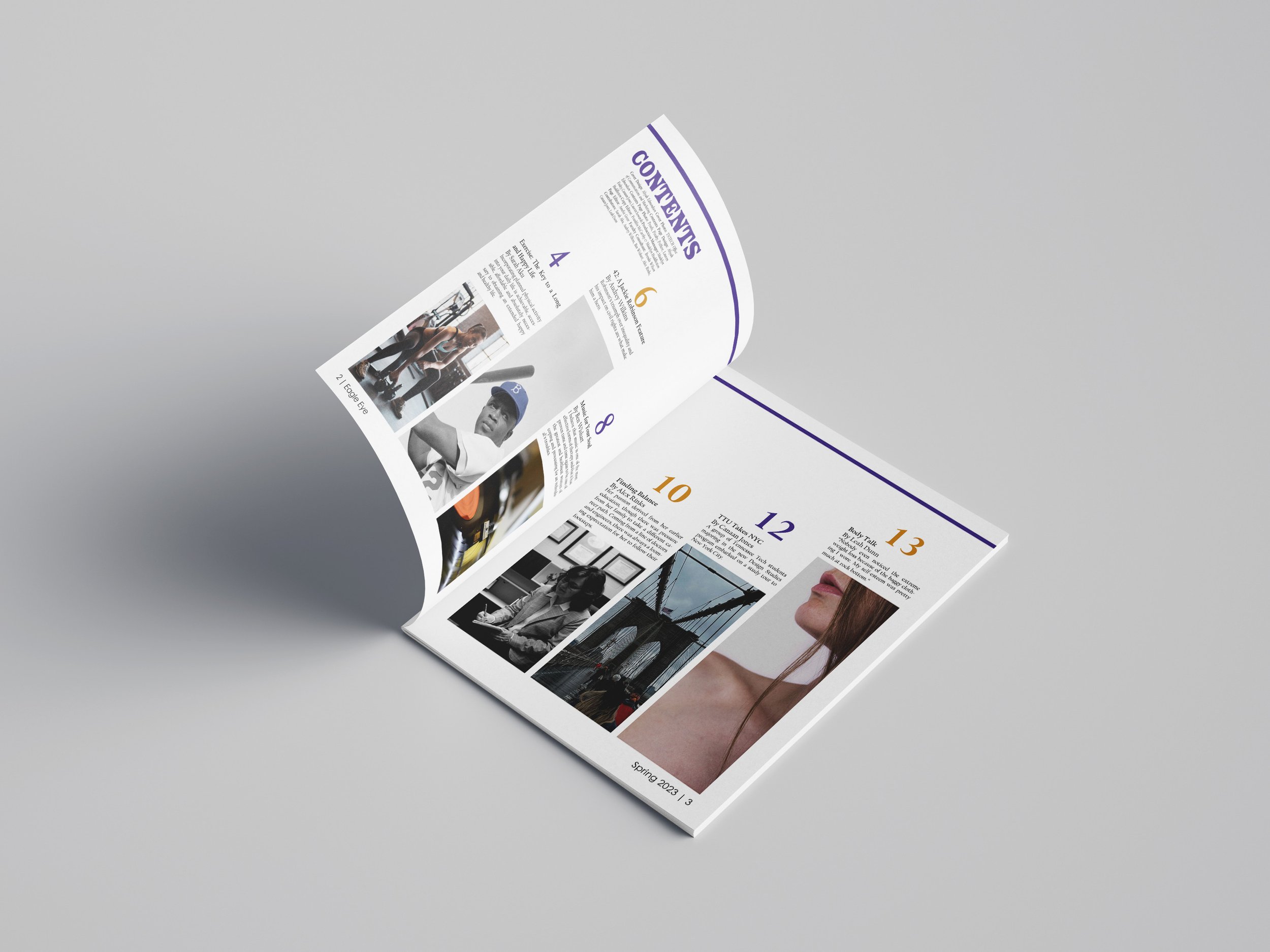 EagleEye-Contents-Mockup.jpg