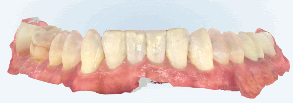 ID174080786_10-Sep-2024_T_13-23-09__3dModel-ANIMATION.gif