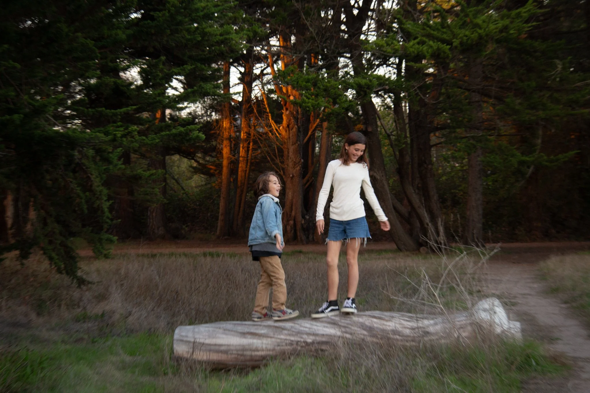 family photo shoot -  kids outdoors walking on a wooden log at a park, surrounded by tall trees, during the evening.