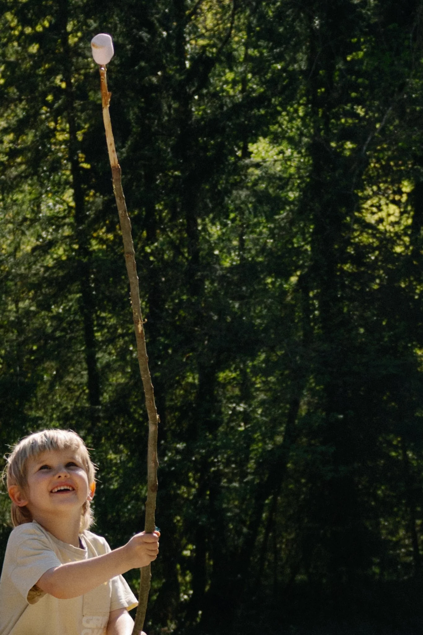family photoshoot -  A young boy with light brown hair looking up and smiling while holding a tall stick with a marshmallow on top, outdoors with green trees in the background.