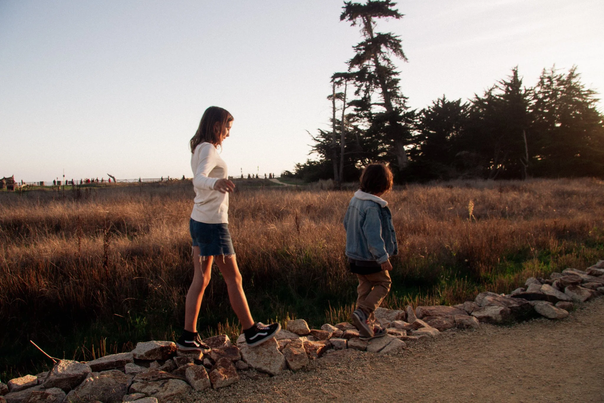 family photo shoot - A girl and a young boy walking along a rocky trail in a grassy field during sunset, with tall trees in the background.
