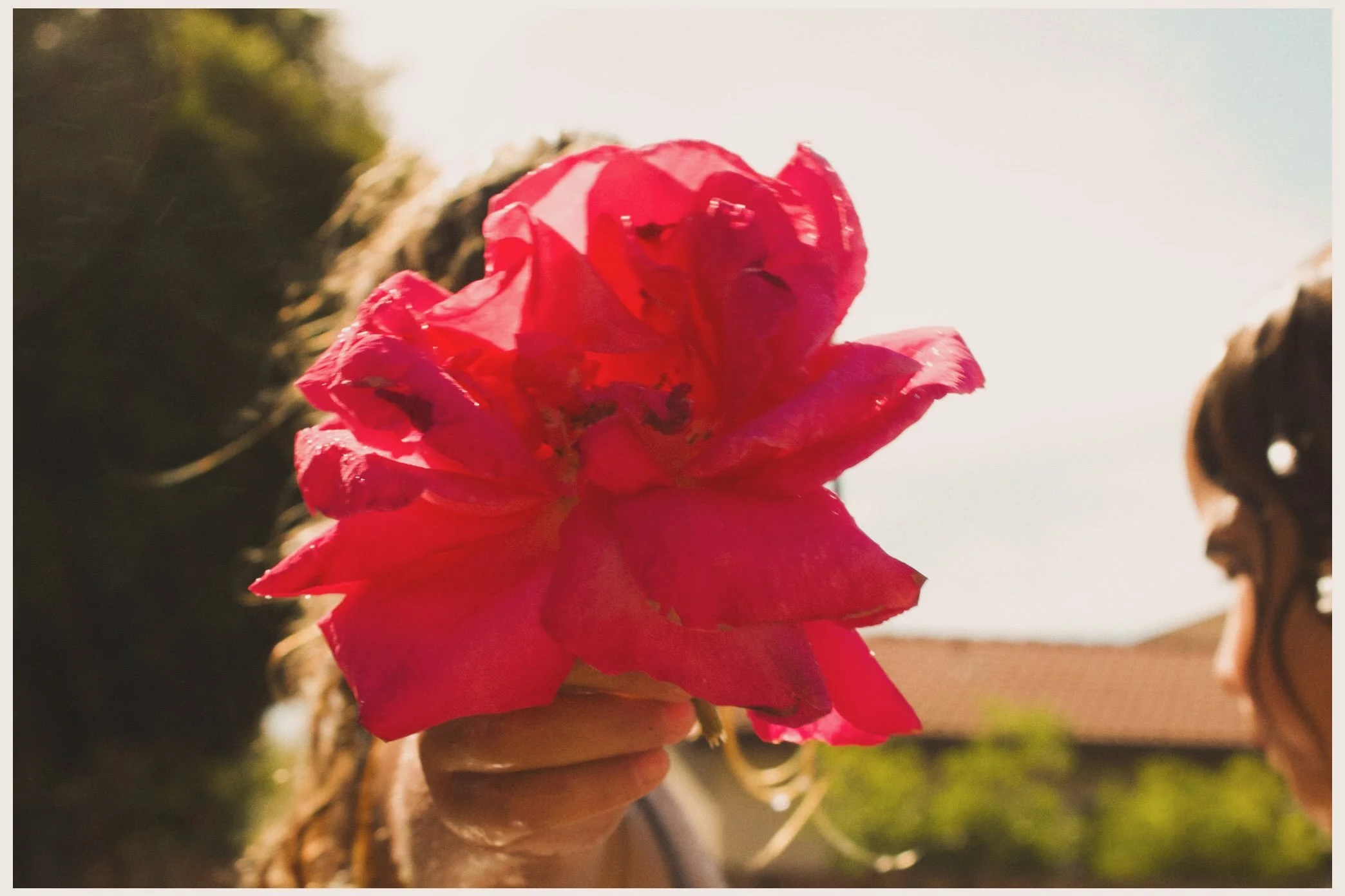 Rosenduftwolken
Rose-scented clouds

Oh the wonders of childhood. An entire summer just for fun. Hopefully to hang with friends, spend hours outside. Find flowers and bugs and all to explore. 

This is day thirty seven. 100 days of summermood. 
 @ins
