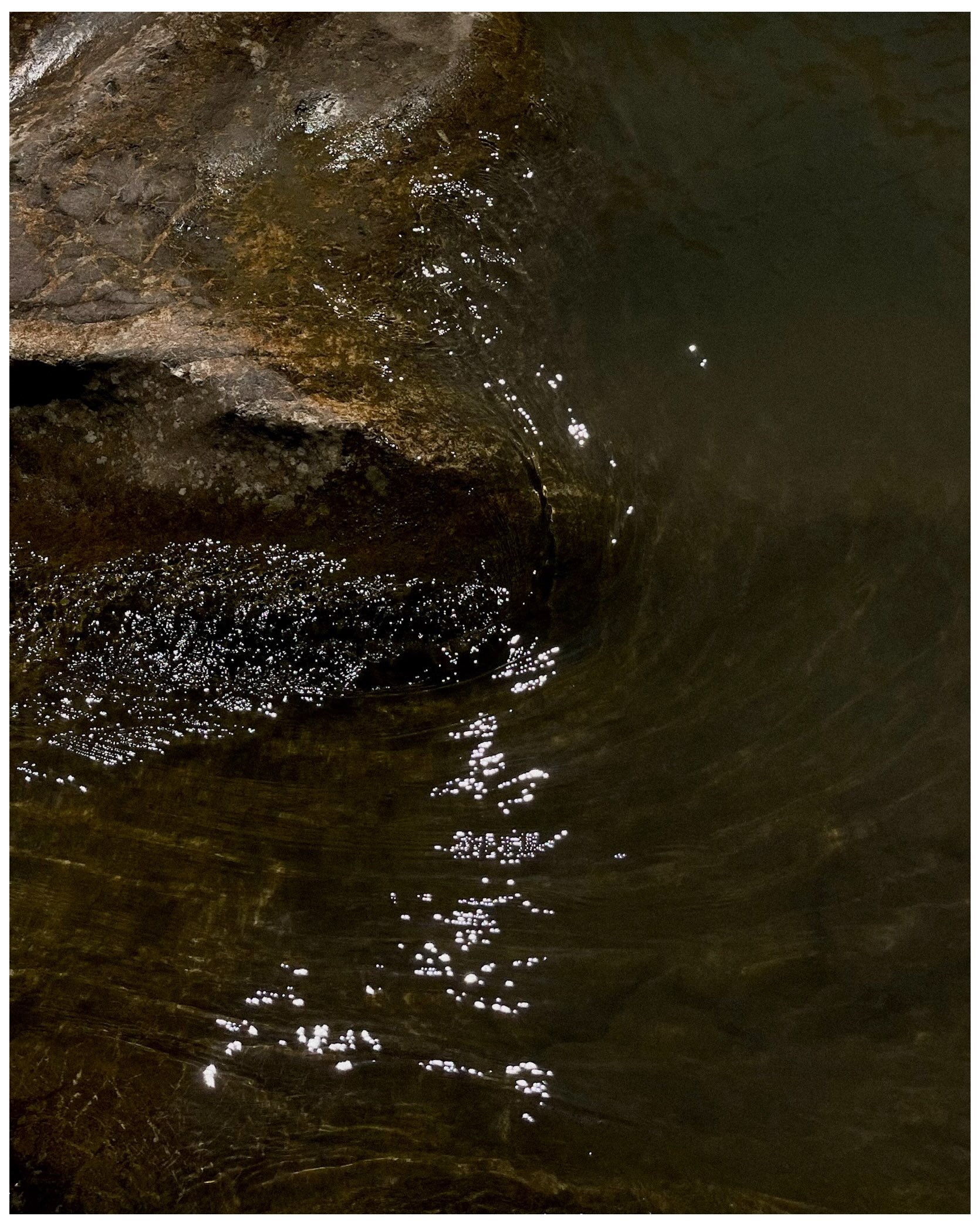 浮世 (Japanese)
flie&szlig;ende Welt
Floating world
Ever watch a stream of water how it floats so effortlessly? Bending and adjusting with every rock or obstacle, never still. Imagine being a leave floating down a creek, getting caught by a rock or a f