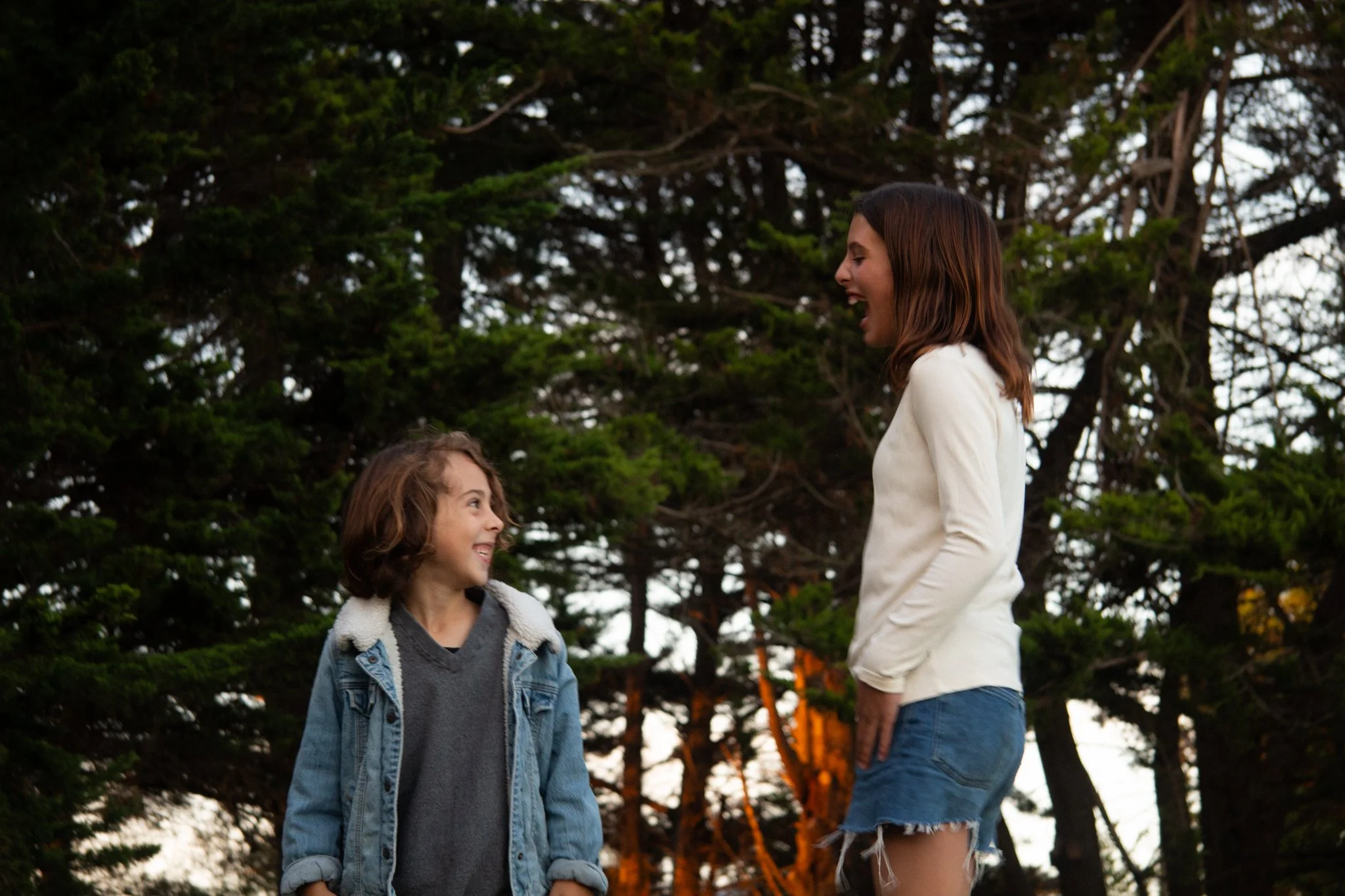 family photoshoot - A girl and a boy outdoors, smiling and engaging with each other in front of tall trees, during sunset or evening, with warm lighting in the background.