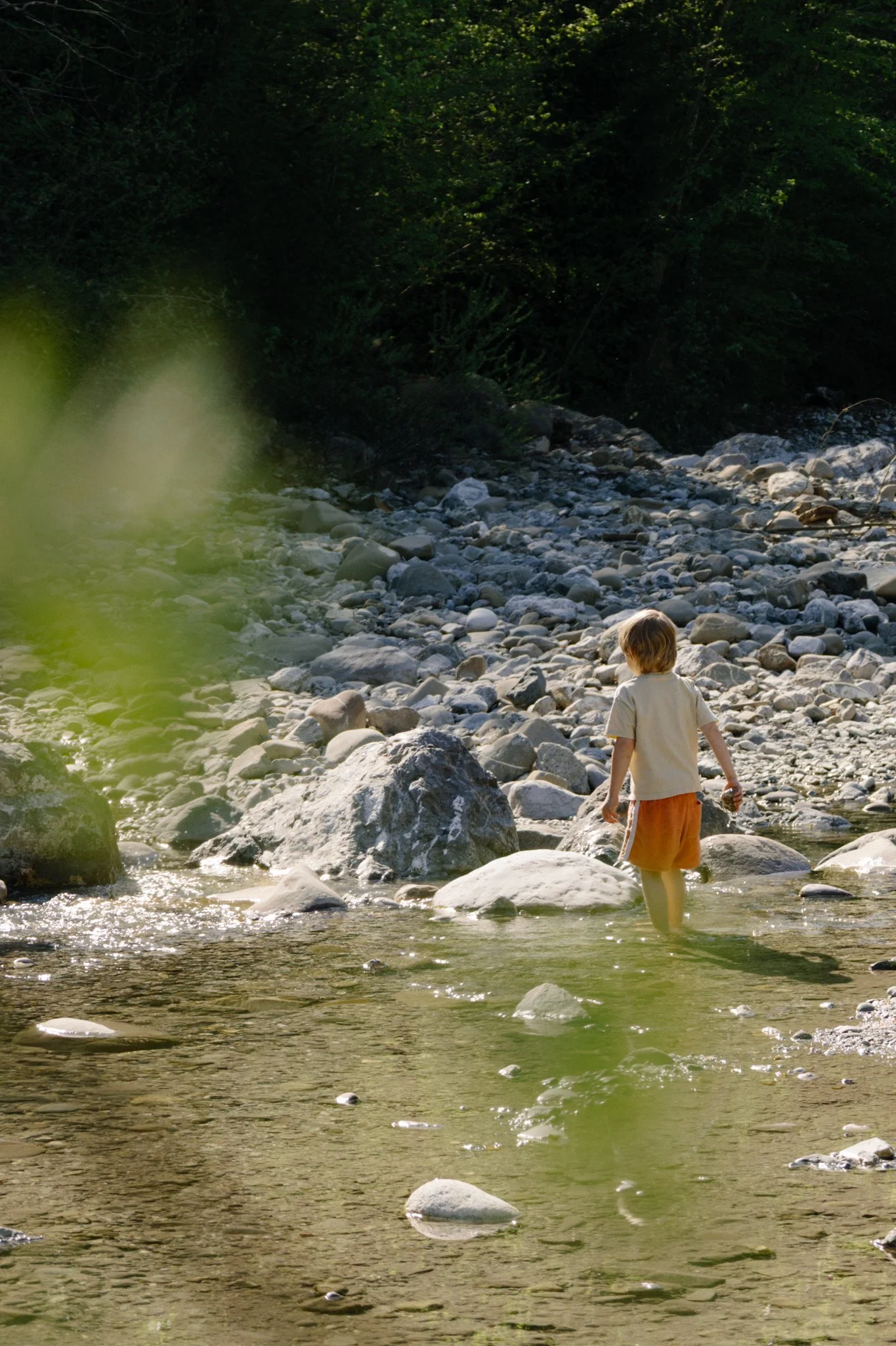 family photoshoot - A young boy in a beige shirt and orange shorts wading in a shallow rocky river with a wooded area in the background.