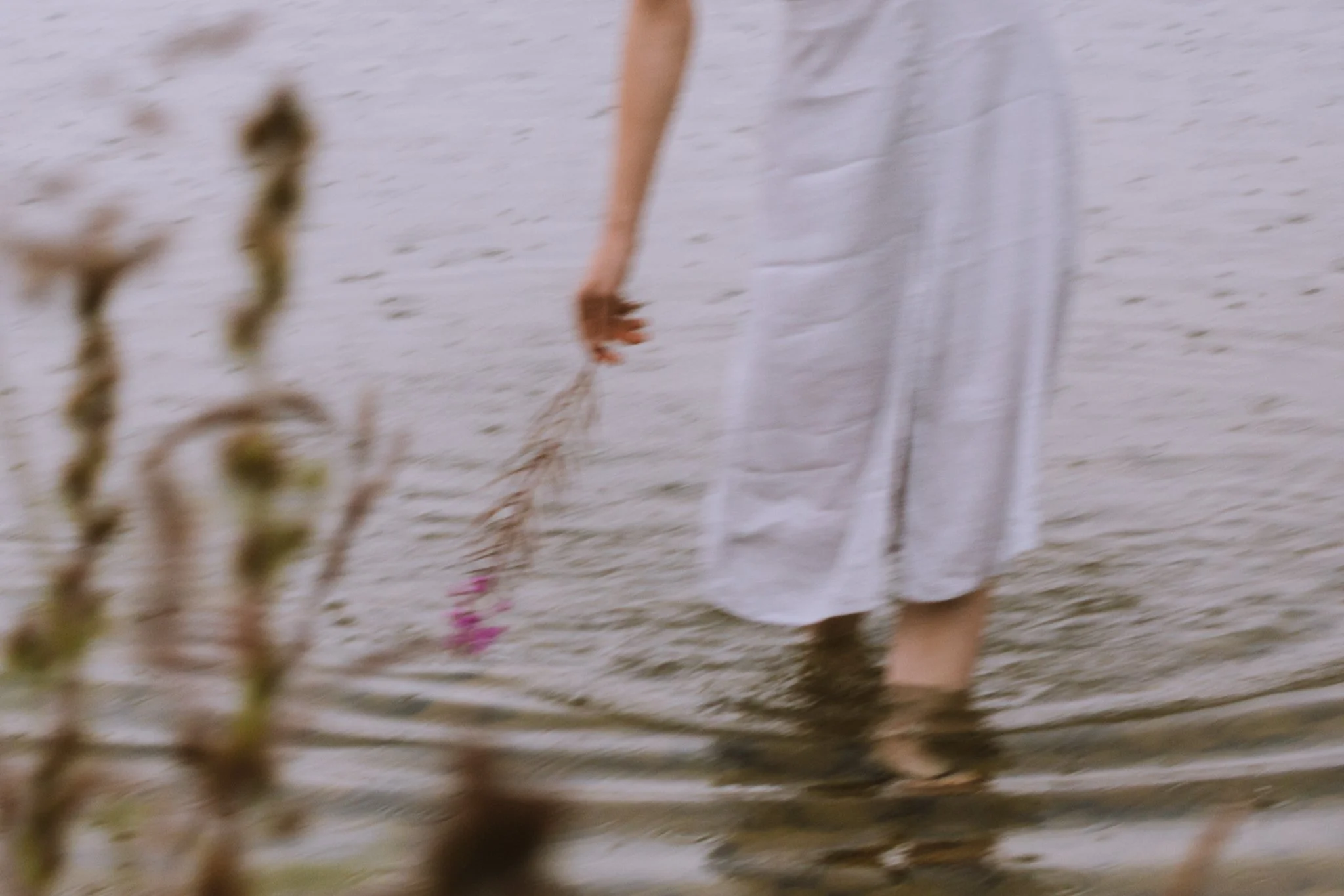 portrait - Blurred image showing tree branches with pink flowers in the foreground near a body of water, with a woman's arm reaching into the water in the background.