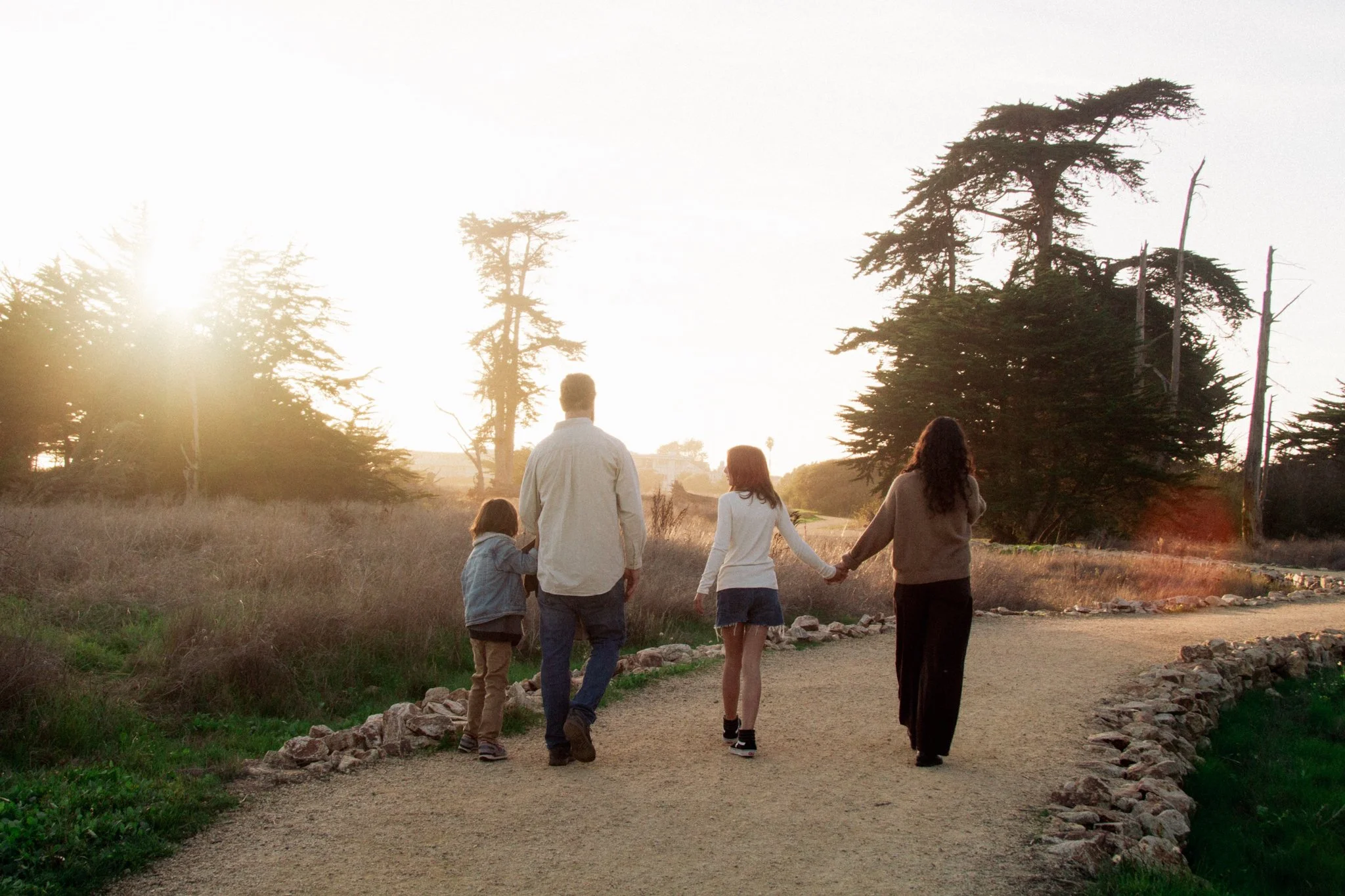 family photo shoot - A family of six walking hand in hand along a dirt path during sunset, surrounded by tall trees and natural scenery.