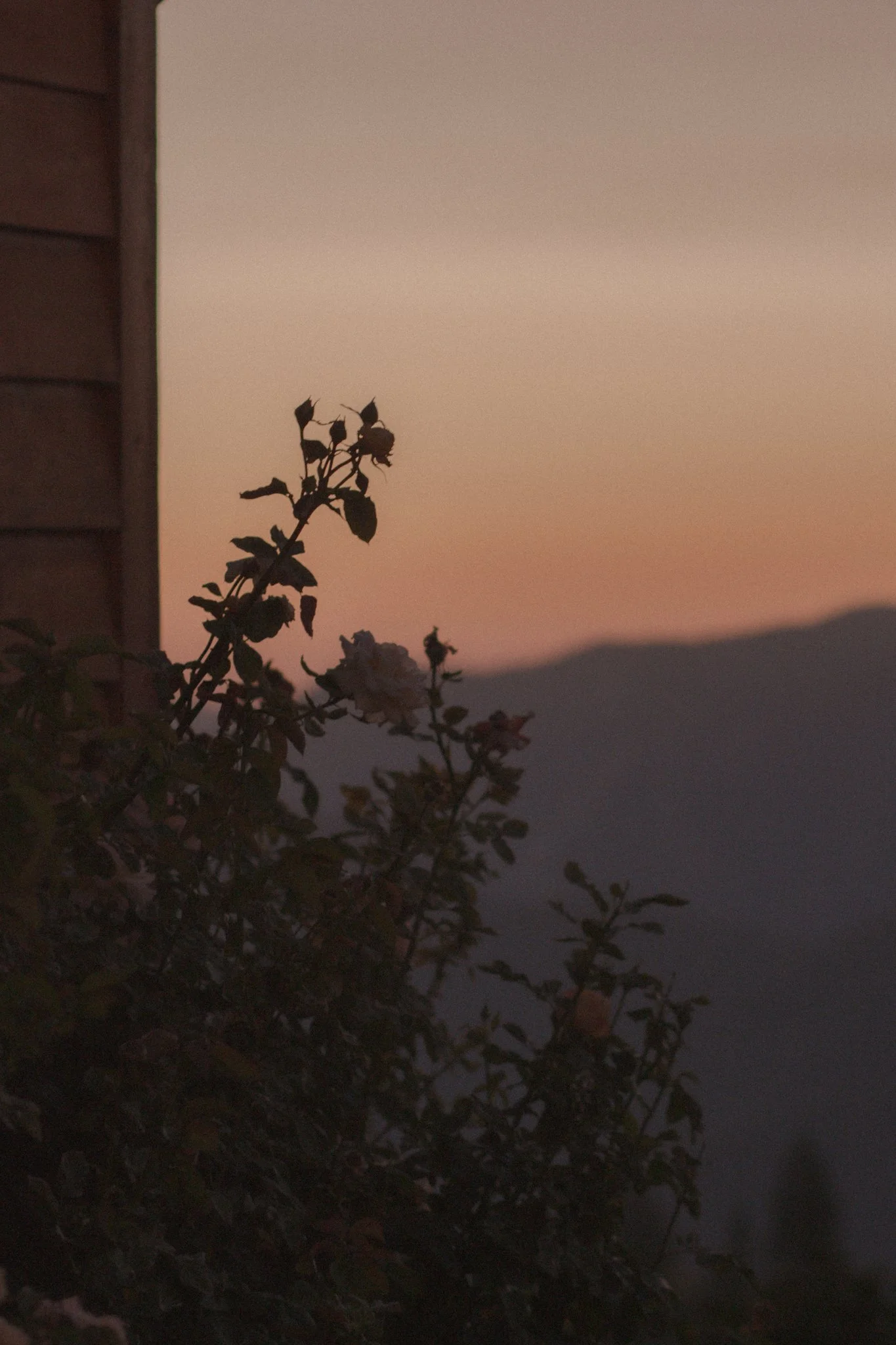 wedding day - a perfect day with a beautiful sunset for the newly married couple 