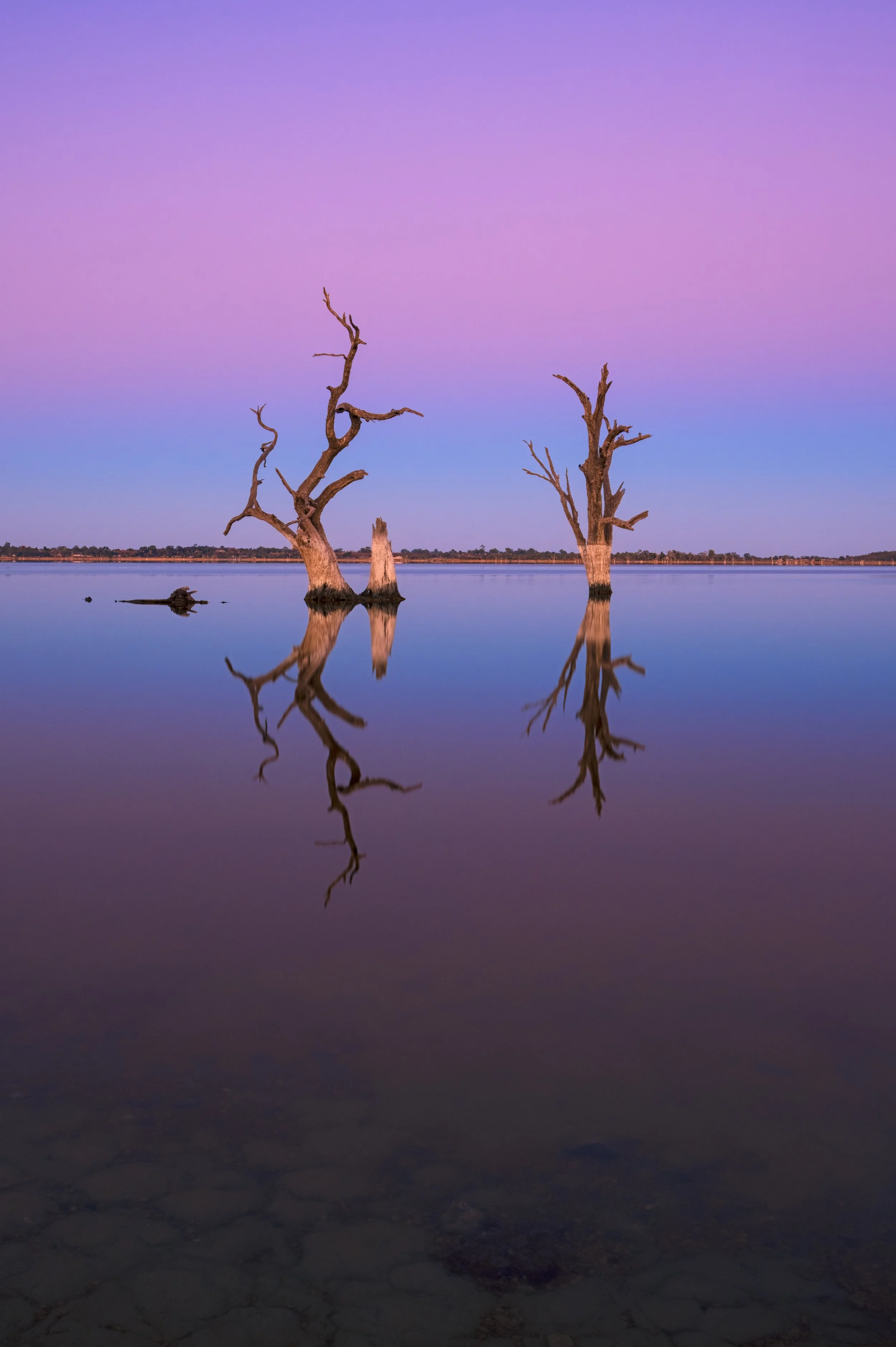"Reflections at Lake Bonney"