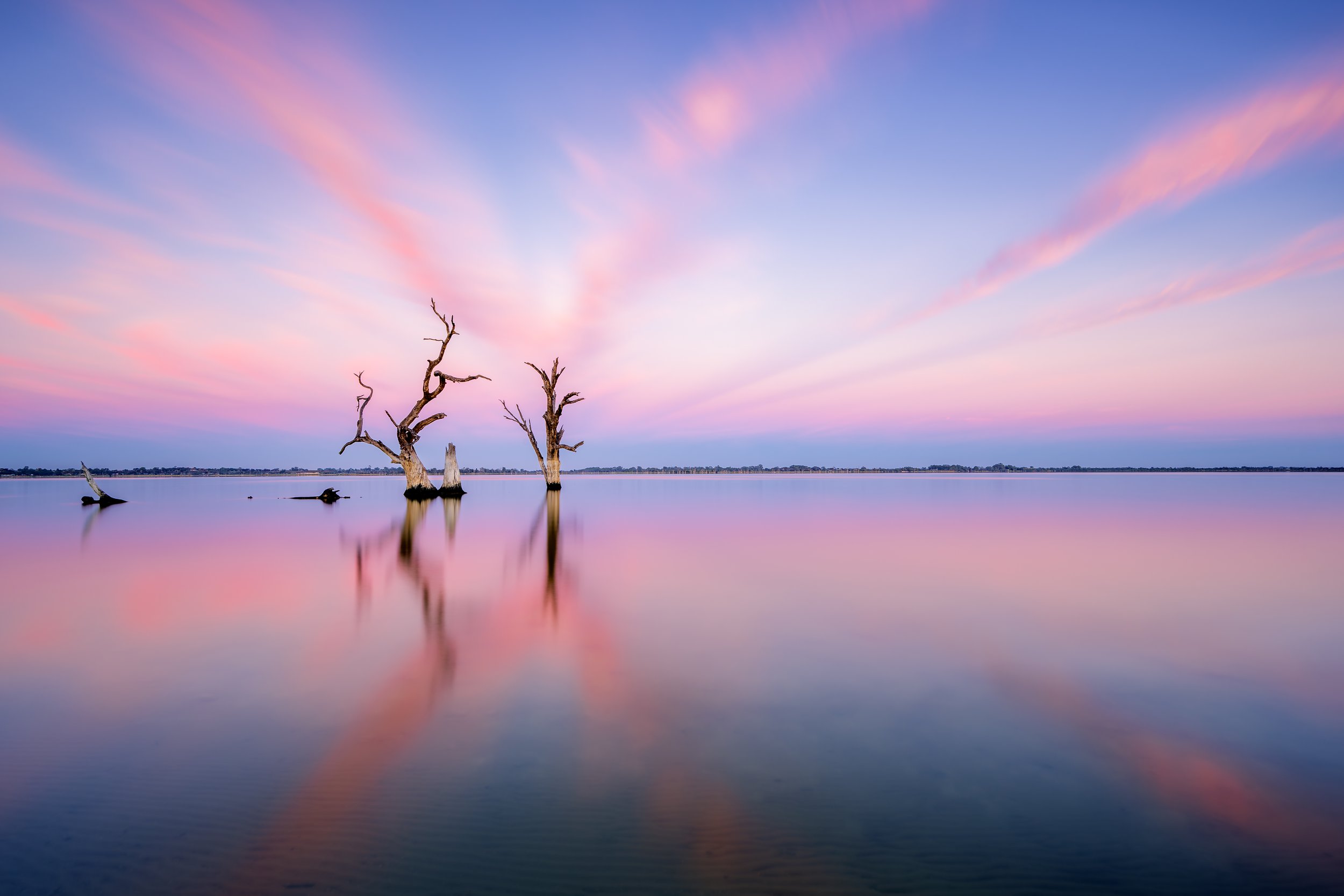 Lake Bonney cloud and tree reflections 
