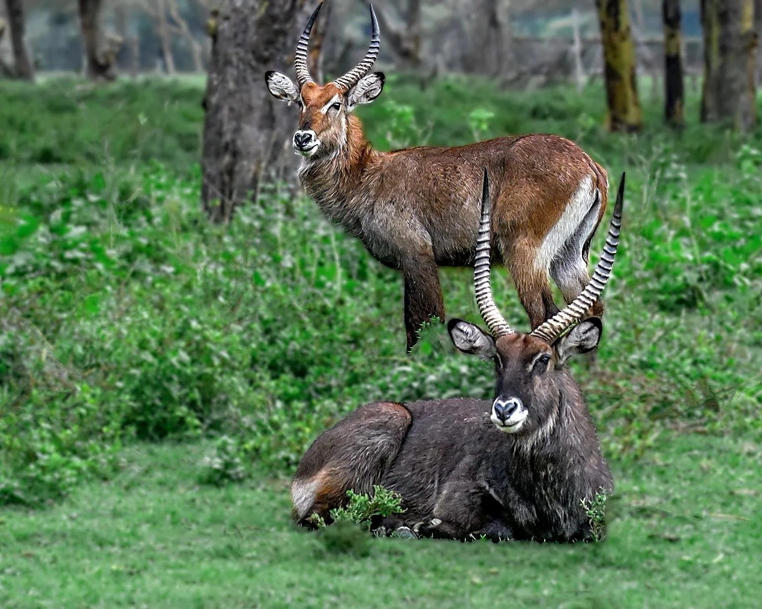 IMG_6827.JPG