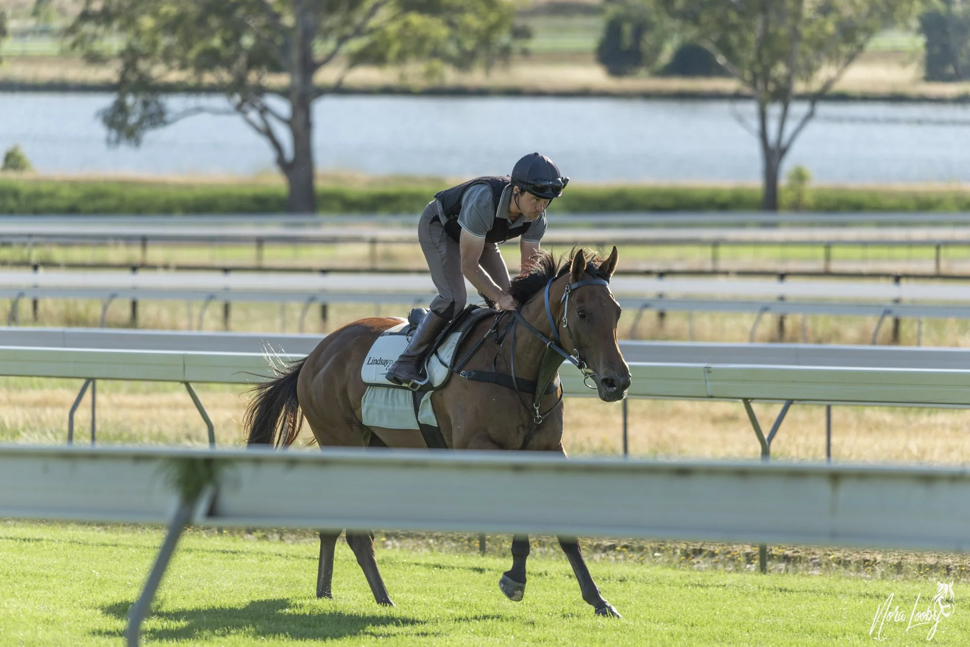 Trackwork Rider - Euroa