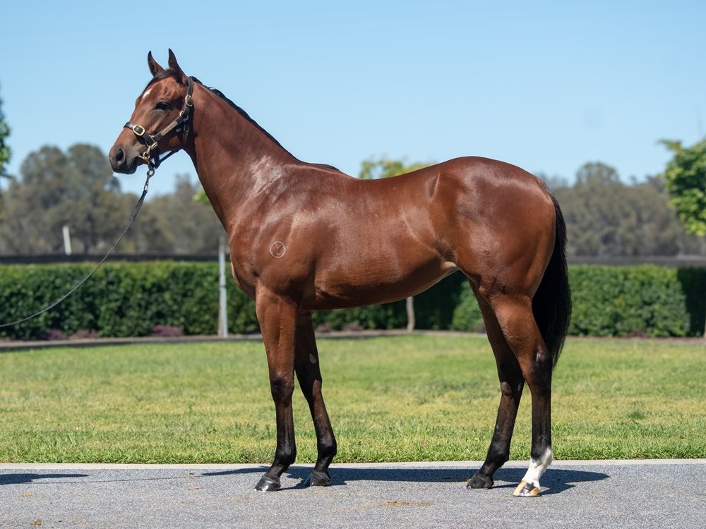 Filly by ALABAMA EXPRESS x SPIRITUALITY