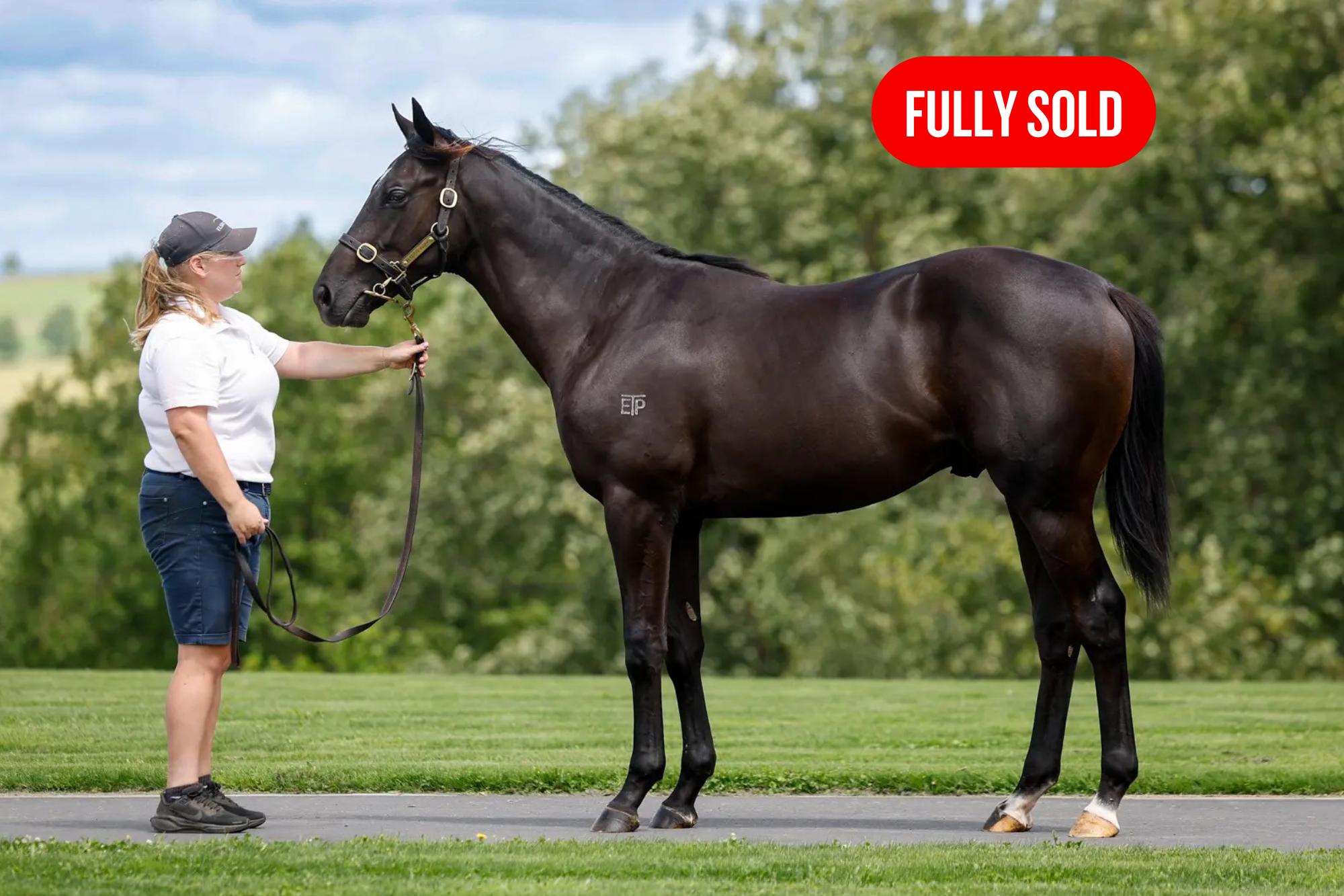 Colt by NOVERRE x CHORUS