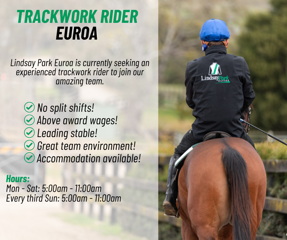Trackwork Rider - Euroa