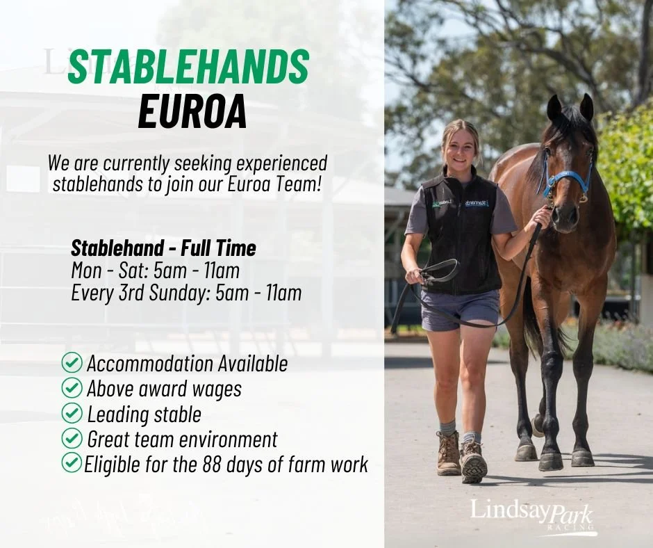 Euroa - Stablehand
