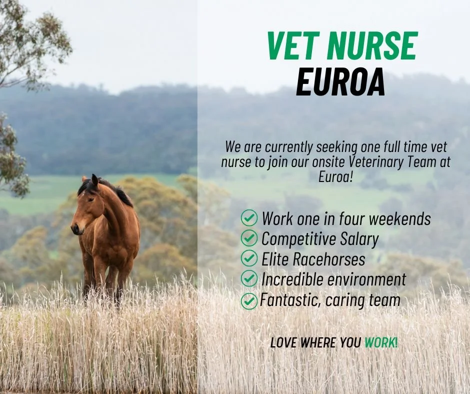 Vet Nurse