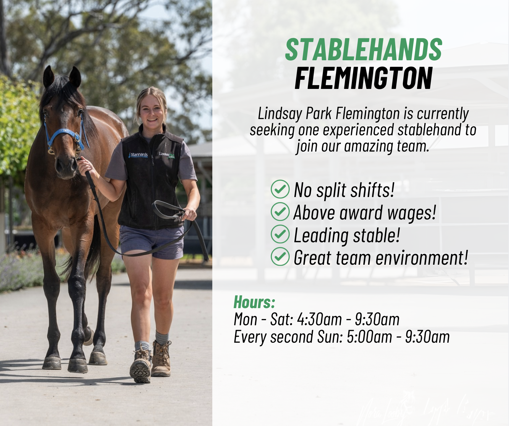 Flemington - Morning Shift Stablehand