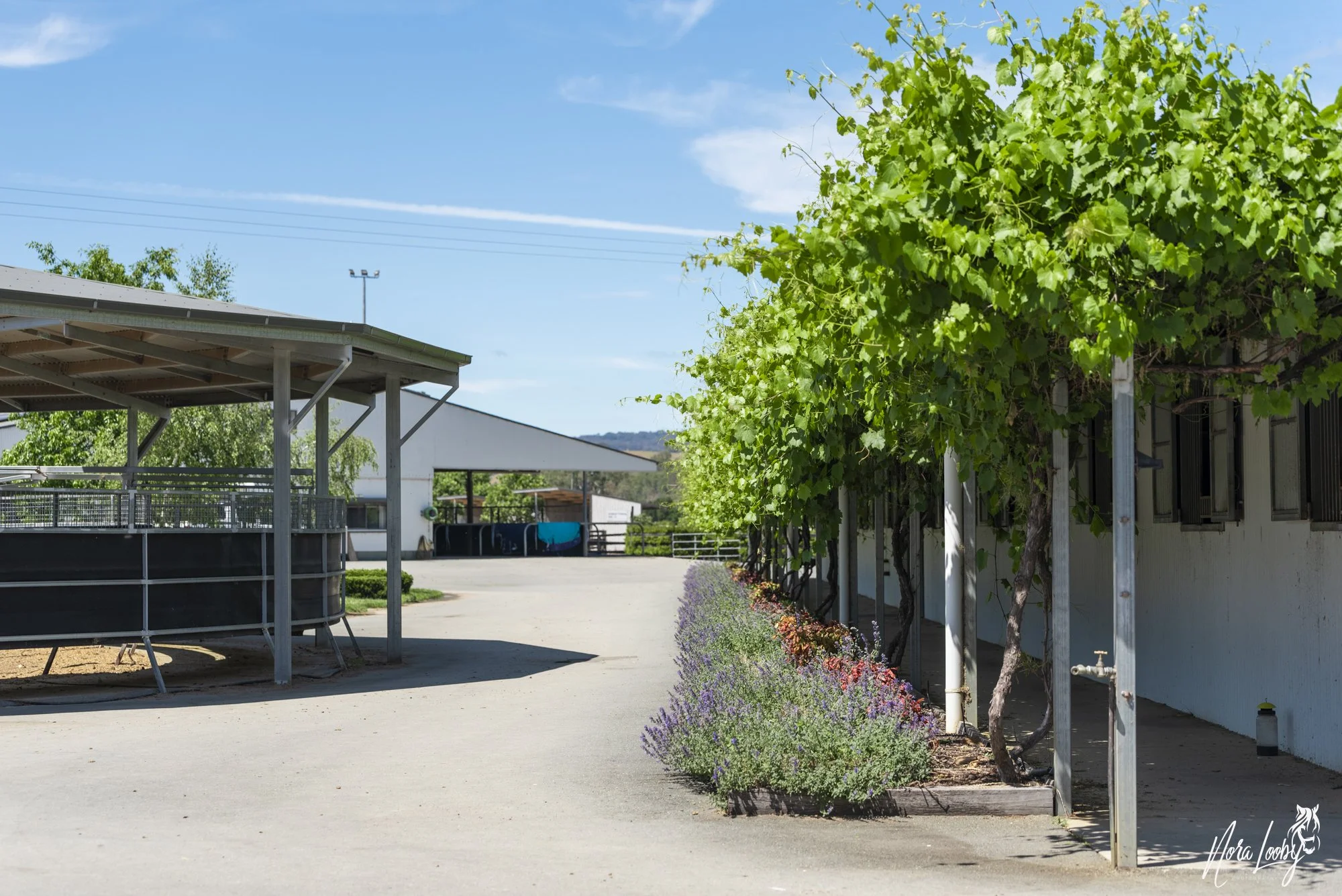 Euroa - Barn Leader