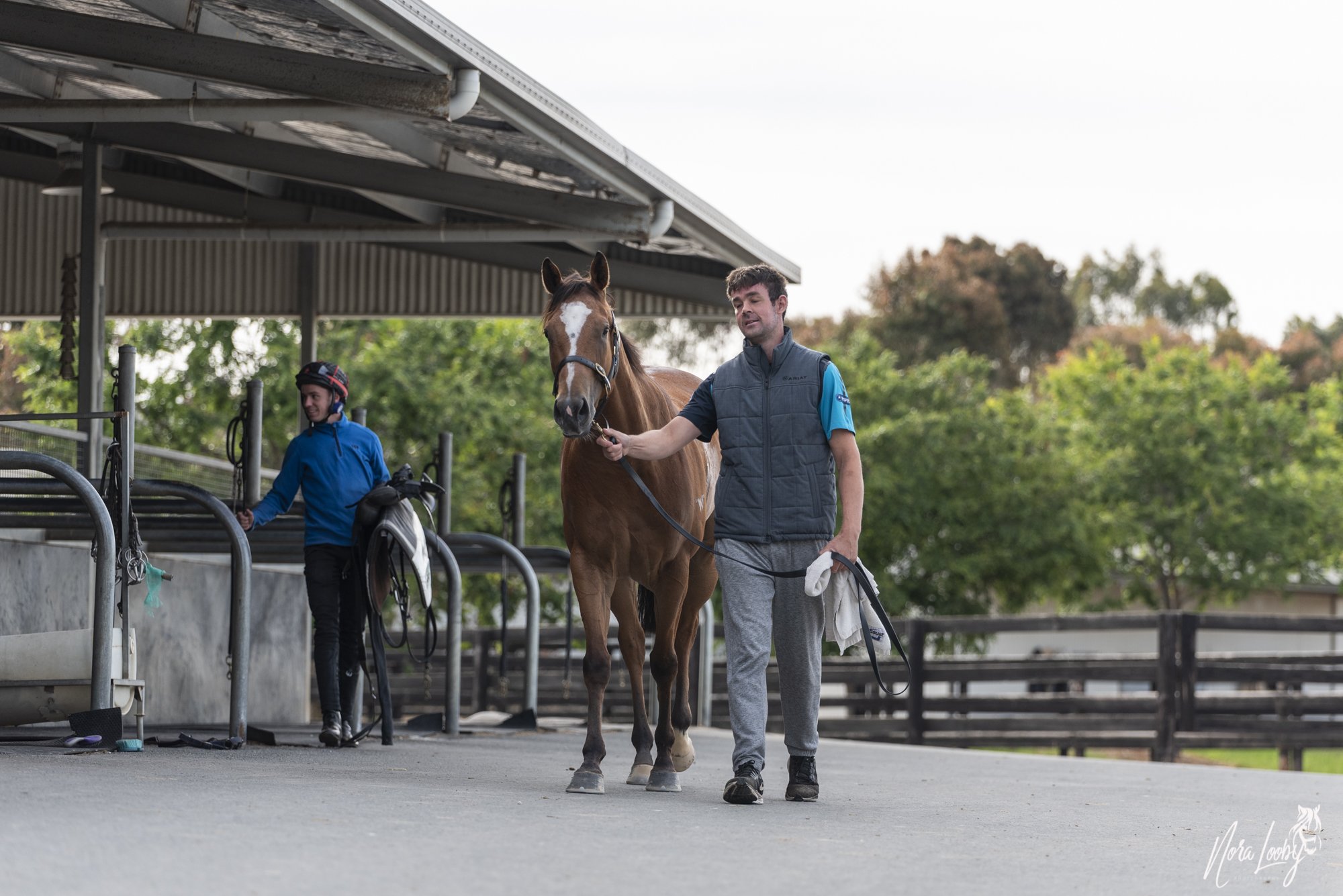 Euroa - Stablehand