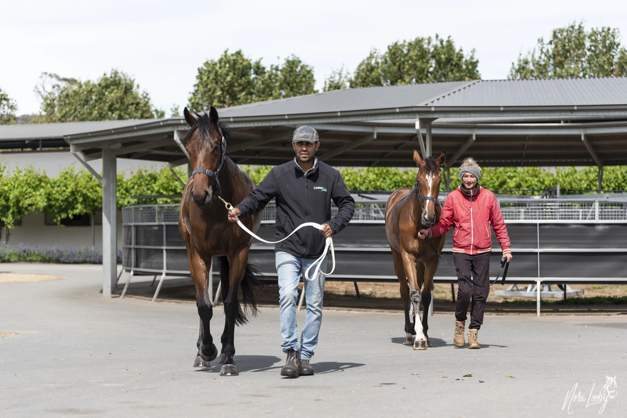 Euroa - Head Of Staff Training