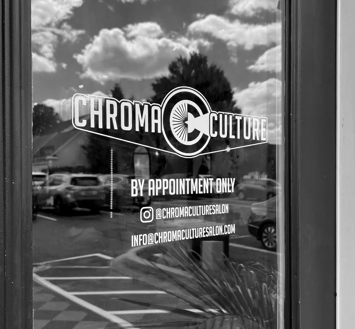 ChromaCulture-Photo-SalonDoor.jpg