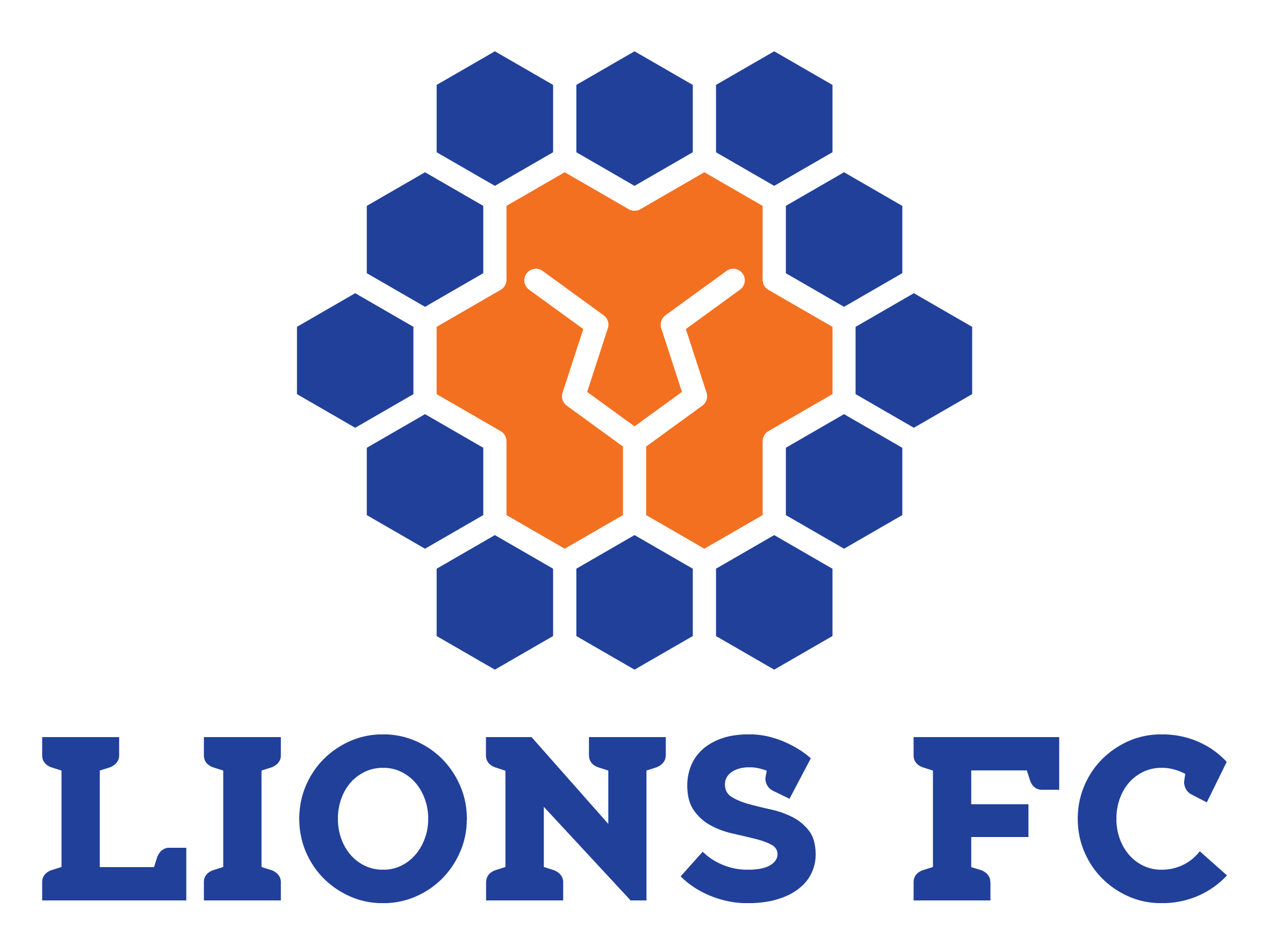 Lions-FC-LOGO-SUITE-Type-2.png