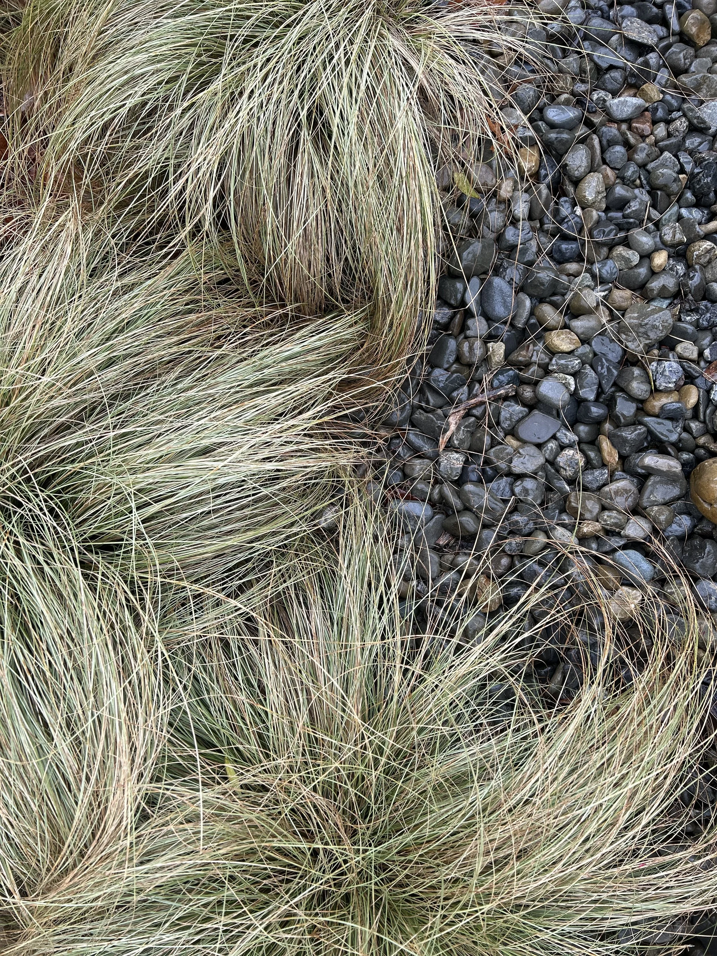 IMG-1912.jpg