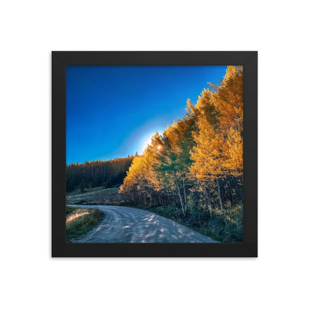 enhanced-matte-paper-framed-poster-(in)-black-10x10-transparent-65110b623e2f6.jpg