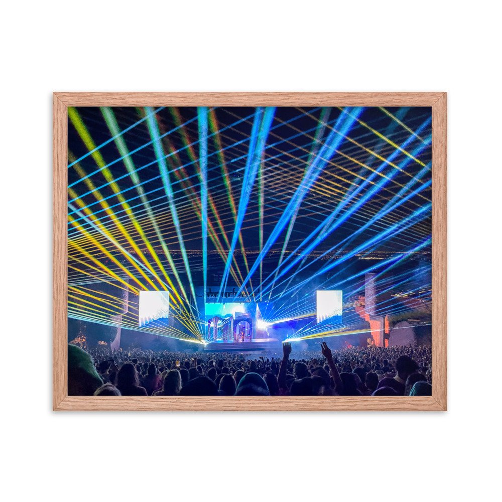 enhanced-matte-paper-framed-poster-(in)-red-oak-16x20-transparent-65110df46e02e.jpg