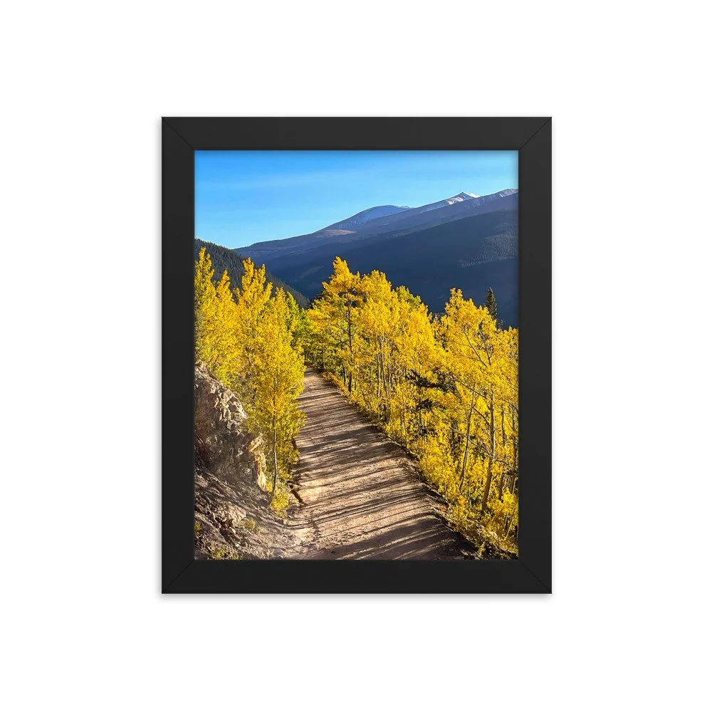 enhanced-matte-paper-framed-poster-(in)-black-8x10-transparent-65111054486d2.jpg