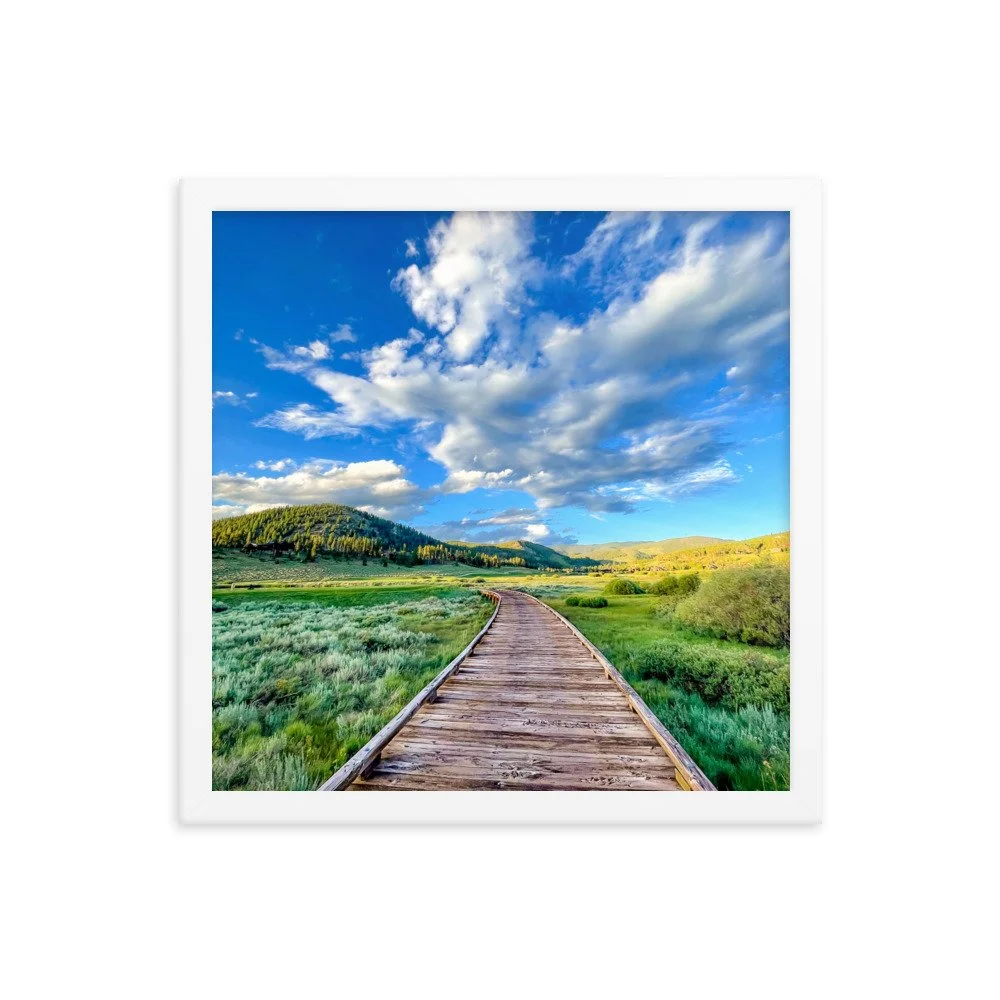 enhanced-matte-paper-framed-poster-(in)-white-14x14-transparent-6511cd0acb5be.jpg