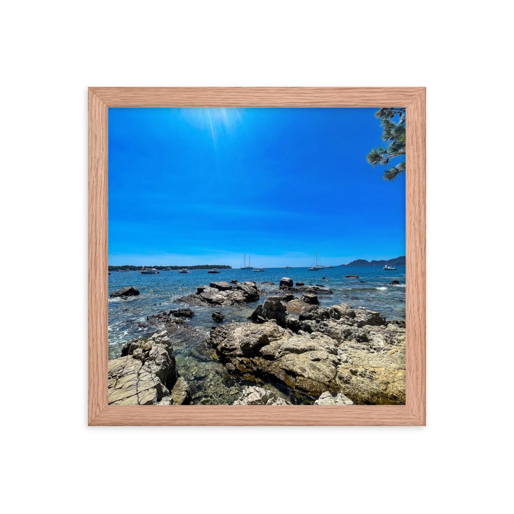 enhanced-matte-paper-framed-poster-(in)-red-oak-12x12-transparent-6511ce59173b5.jpg
