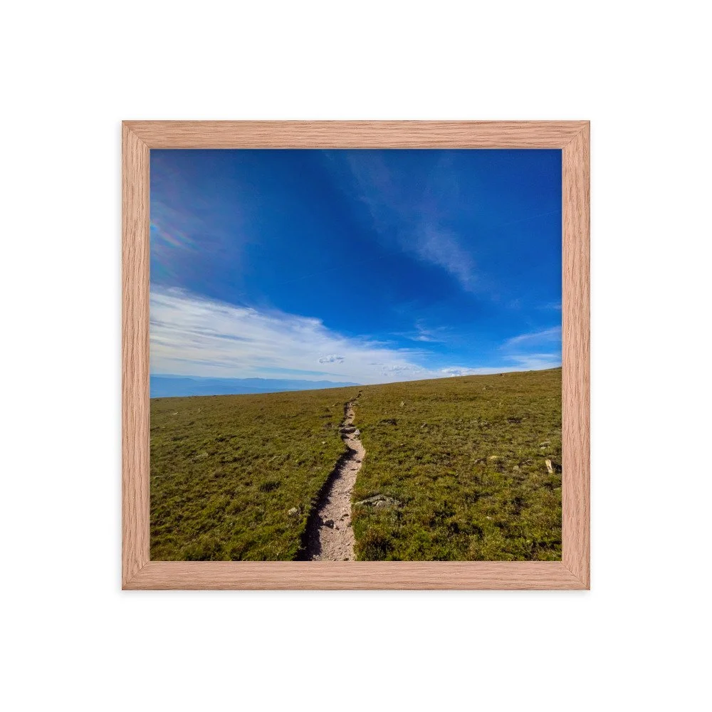 enhanced-matte-paper-framed-poster-(in)-red-oak-12x12-transparent-6511cffb43929.jpg