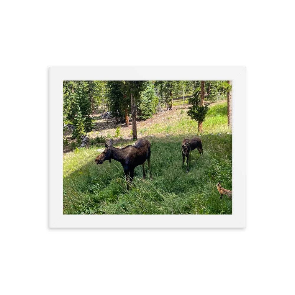 enhanced-matte-paper-framed-poster-(in)-white-8x10-transparent-651a3801c8e55.jpg