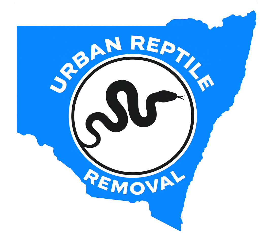 Berowra: Urban Reptile &amp; Snake Removal — Berowra Heights — Call Now 0418 633 474