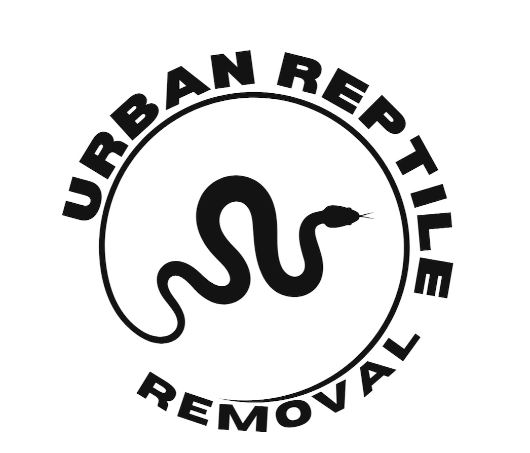 Urban Reptile &amp; Snake Removal Castlecrag&nbsp; Call Now 0418 633 474