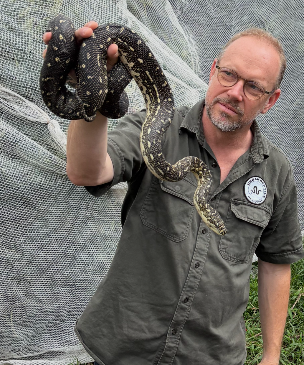 A man holding a black and yellow snake outdoors, with mesh fence in the background.