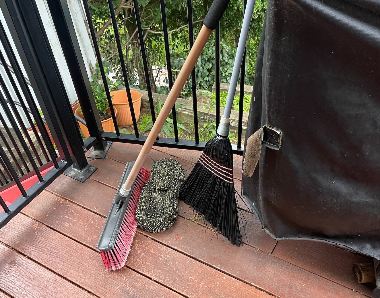 On a wooden deck, there are cleaning tools including a pink broom, a black dustpan, and a broom with a wooden handle. A black and white speckled snake is curled up on the deck near the tools. The background shows potted plants and greenery beyond a black metal railing.