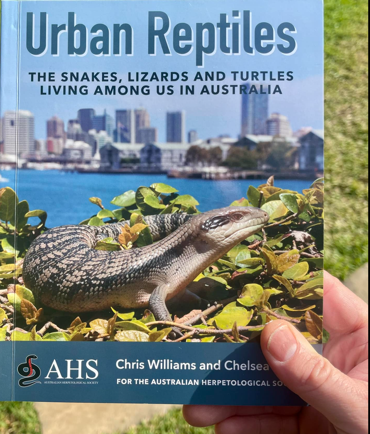Book cover titled 'Urban Reptiles: The snakes, lizards and turtles living among us in Australia' featuring a lizard on greenery with a cityscape in the background, and the logo of the Australian Herpetological Society.
