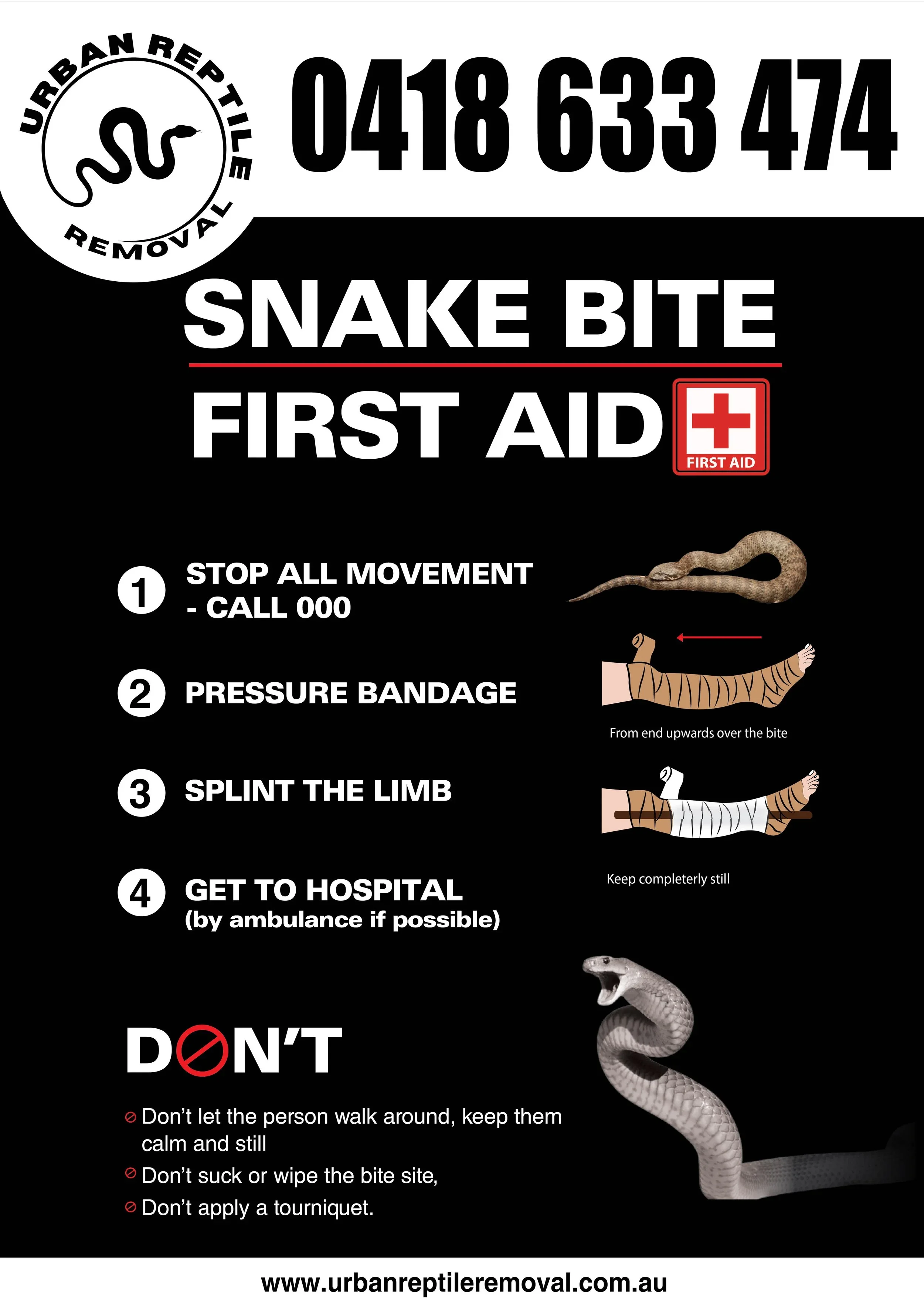 Reptile Posters Available for Homes, Schools and Businesses. 
