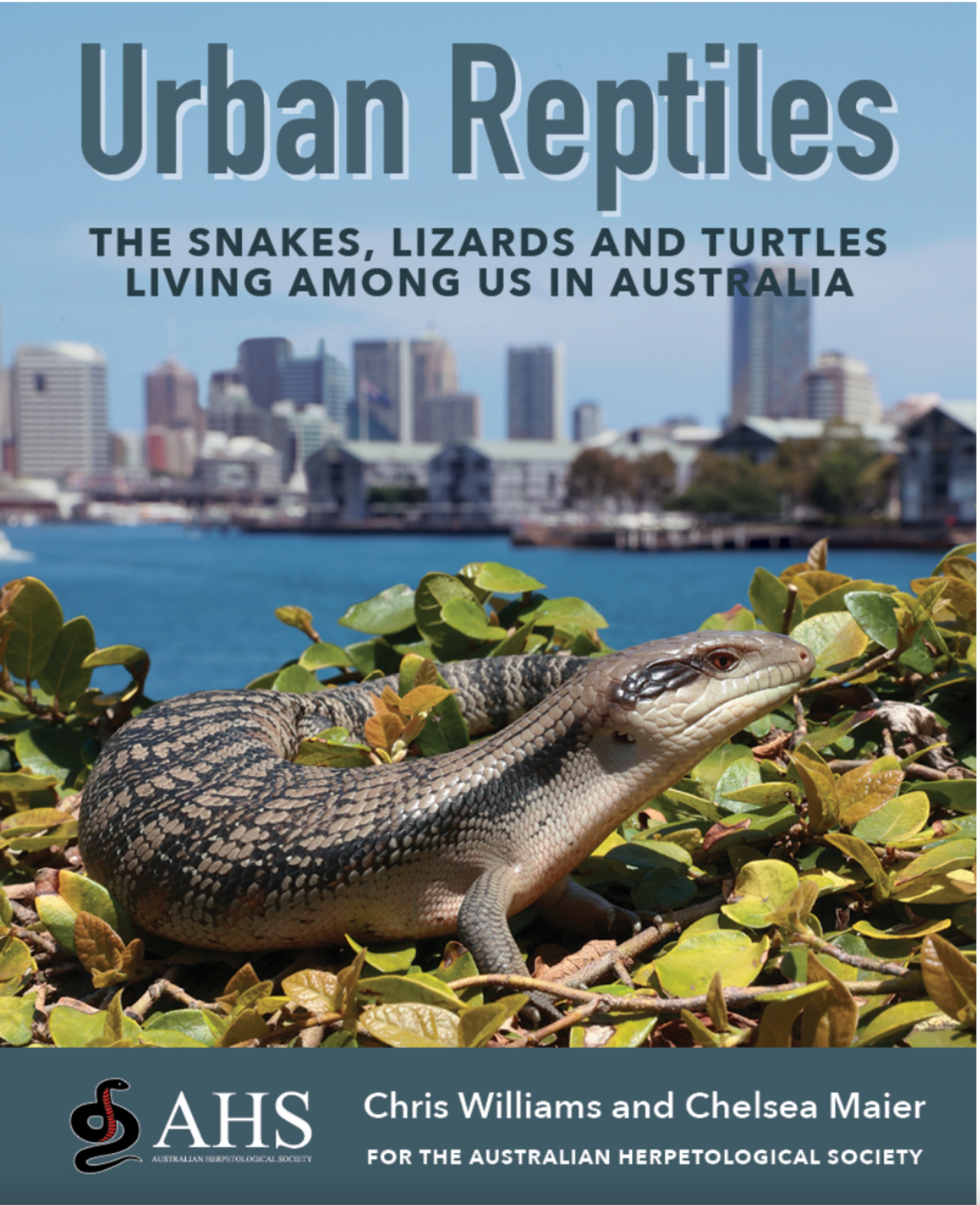 We wrote the book on Urban Reptiles. https://sydneysnakecatcher.com.au/product/urban-reptiles/